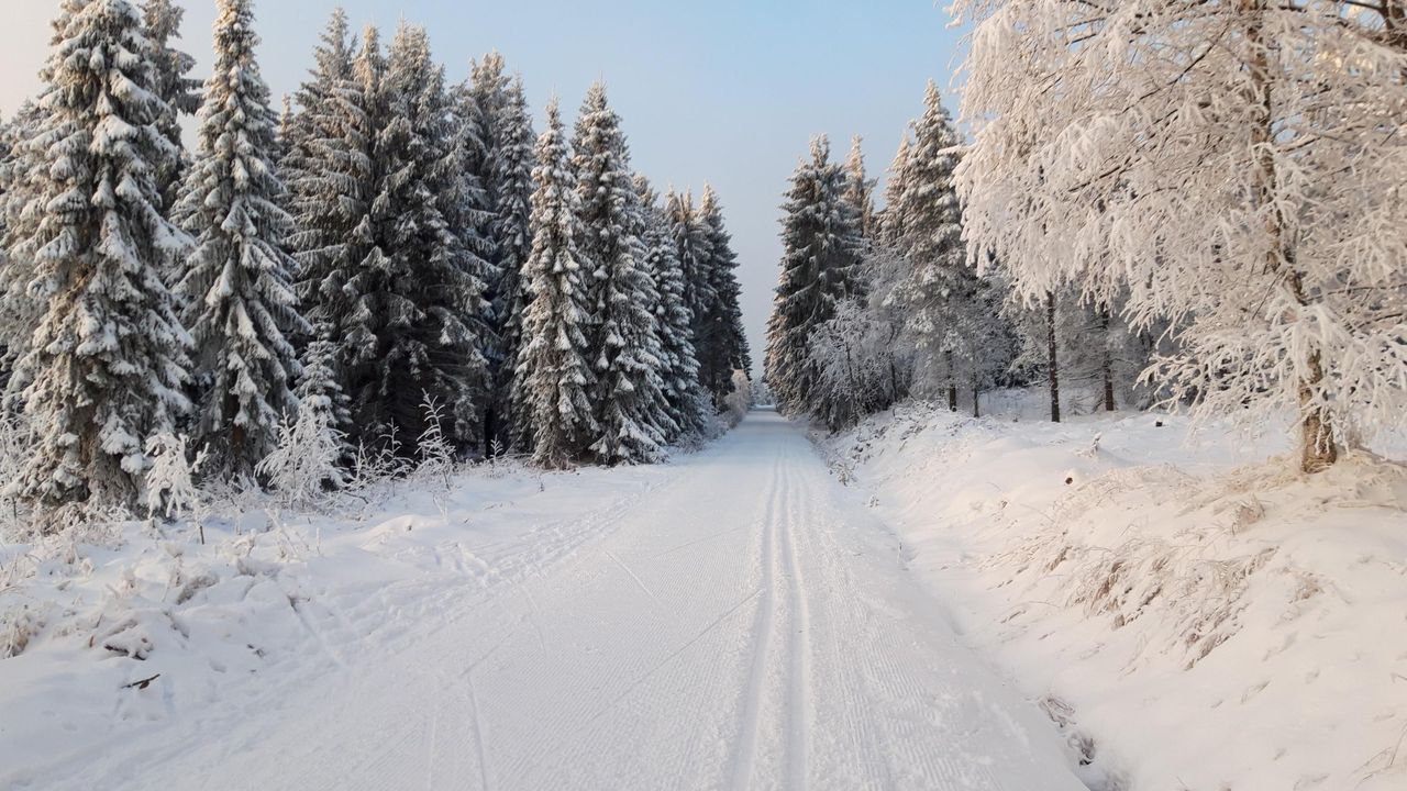 20211212_081624_resized 20211212_081624_resized